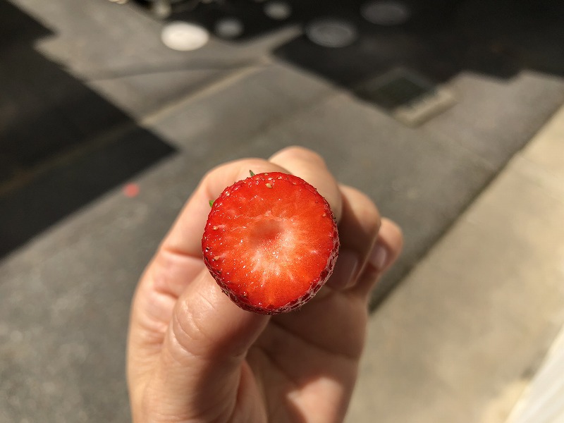 ブログ 近畿測地設計株式会社