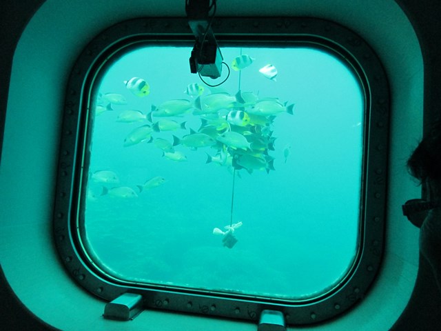 H26　グアム旅行